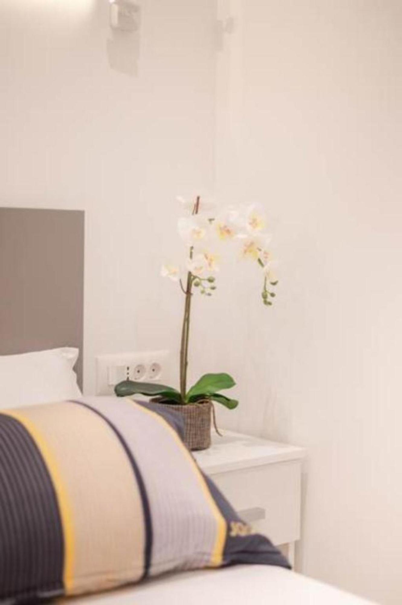 Canta Amore Suites 扎达尔 外观 照片
